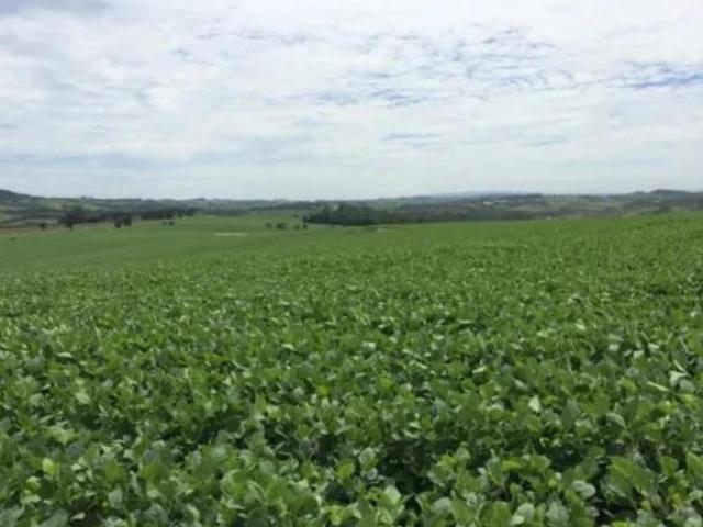 Sítio e chácara venda em Região Imediata de Itapetininga, Região Metropolitana de Sorocaba