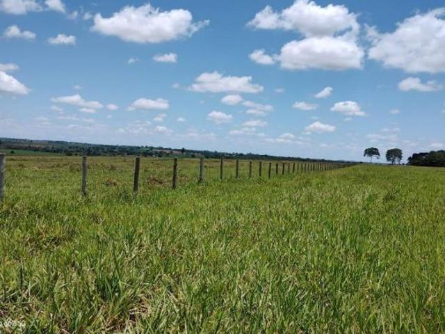 Sítio e chácara venda em Região Imediata de Jales, Jales