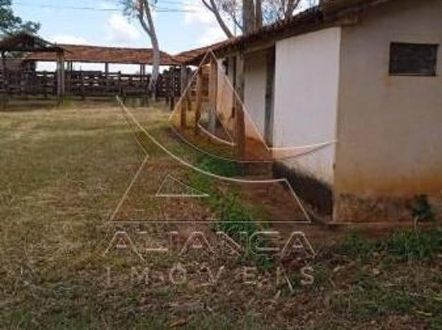 Sítio e chácara venda em Região Imediata de Jales, Jales