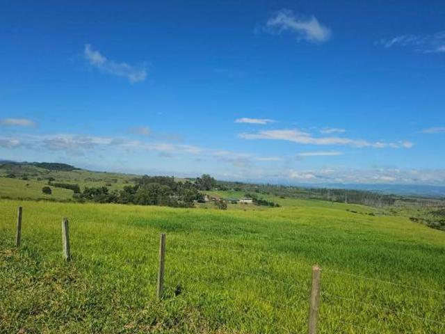 Sítio e chácara venda em Região Imediata de Guaratinguetá, Região Metropolitana do Vale do Paraíba e Litoral Norte