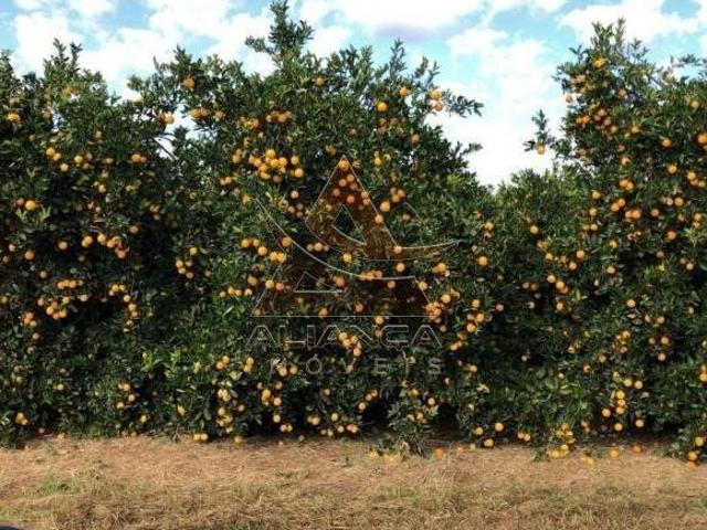 Sítio e chácara venda em Alto Cafezal, Marília