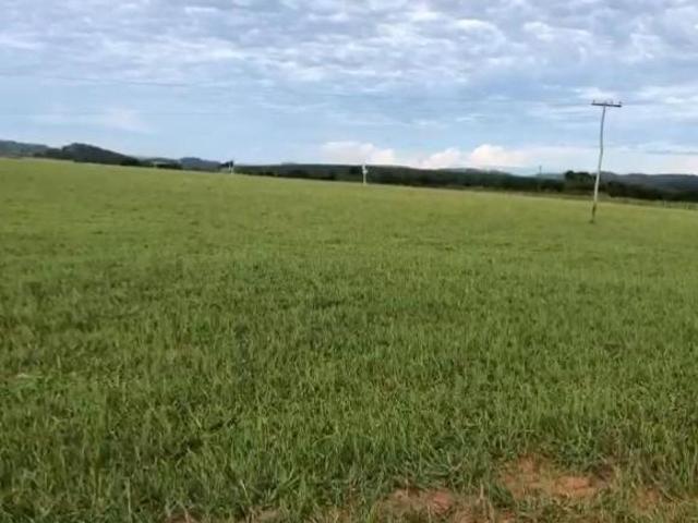 Sítio e chácara venda em Região Imediata de Marília, Marília