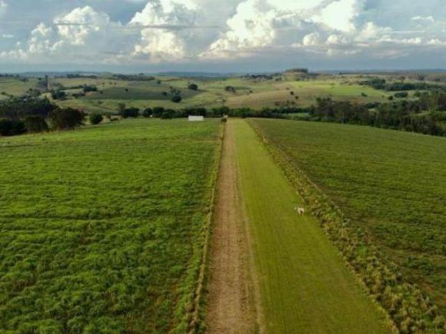 Sítio e chácara venda em Região Imediata de Marília, Marília