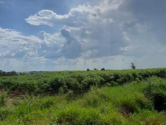 Sítio e chácara venda em Região Imediata de Marília, Marília