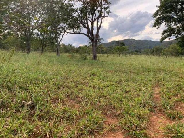 Sítio e chácara venda em Região Geográfica Imediata de Patos de Minas, Paracatu