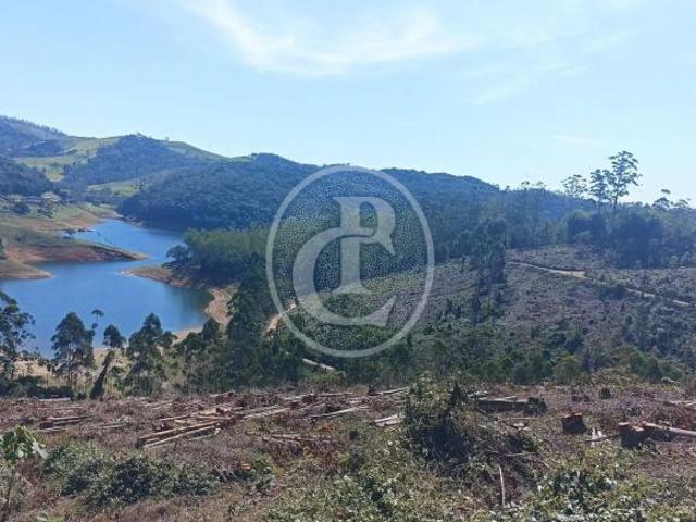 Sítio e chácara venda em Região Imediata de Campinas, Região Metropolitana de Campinas