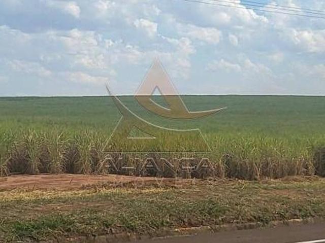 Sítio e chácara venda em Região Imediata de São Carlos, São Carlos