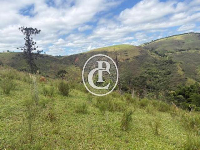 Sítio e chácara venda em Monte Castelo