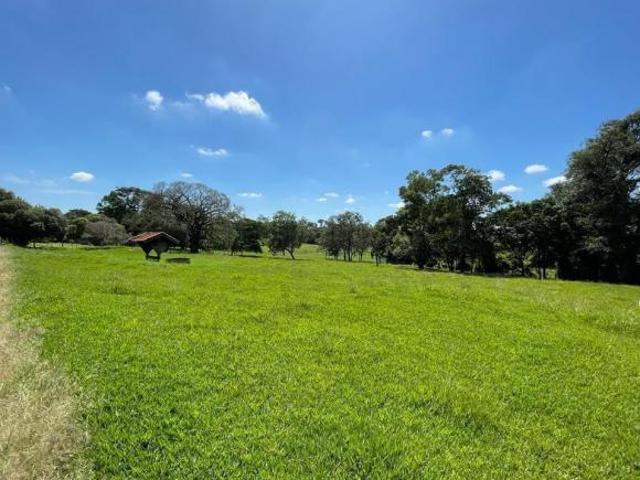 Sítio e chácara venda em Região Imediata de São José do Rio Preto, Região Metropolitana de São José do Rio Preto