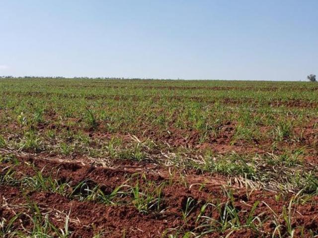 Sítio e chácara venda em Região Imediata de São José do Rio Preto, Região Metropolitana de São José do Rio Preto
