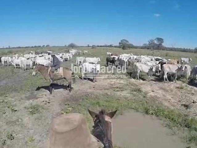 Sítio e chácara venda em Região Imediata de São Paulo, Região Metropolitana de São Paulo