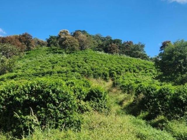 Sítio e chácara venda em Região Geográfica Imediata de Pouso Alegre, Santa Rita do Sapucaí