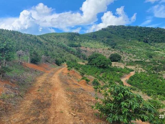 Sítio e chácara venda em Região Geográfica Imediata de Pouso Alegre, Santa Rita do Sapucaí