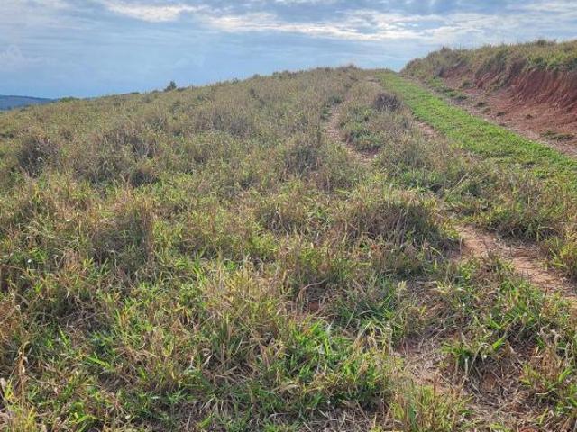 Sítio e chácara venda em Região Geográfica Imediata de Três Corações, Cambuquira