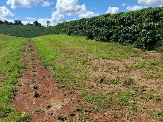 Sítio e chácara venda em Região Geográfica Imediata de Três Corações, Cambuquira