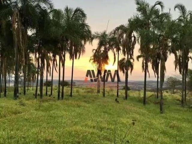 Sítio e chácara venda em Região Geográfica Imediata de Goiânia, Trindade