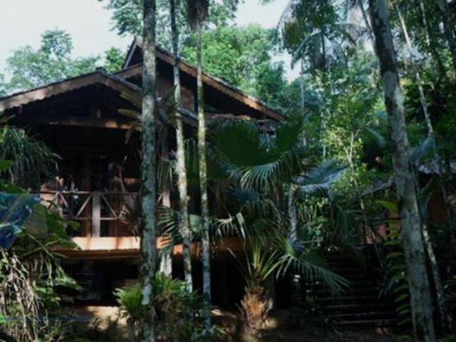 Sítio e chácara venda em Região Imediata de Caraguatatuba-Ubatuba-São Sebastião, Região Metropolitana do Vale do Paraíba e Litoral Norte
