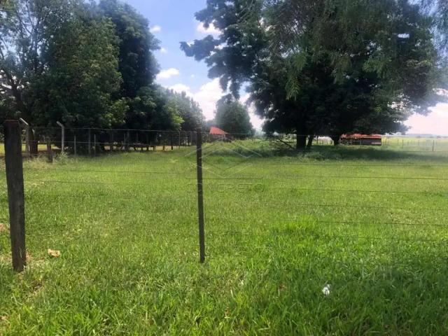Fazenda venda em Região Imediata de Bauru, Arealva