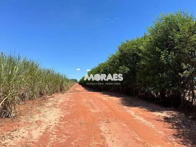 Fazenda venda em Região Imediata de Bauru, Arealva