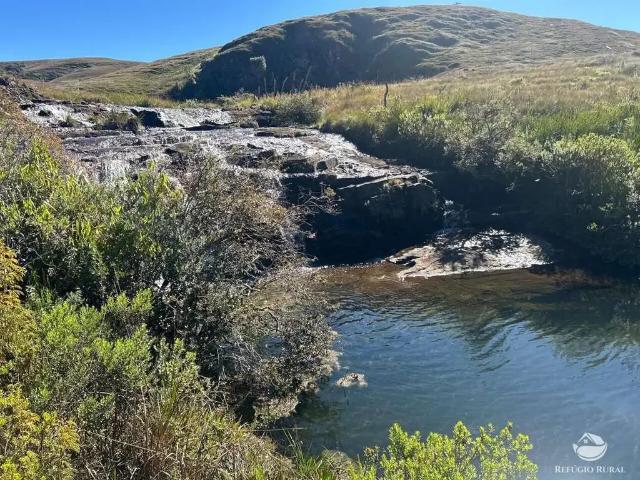 Fazenda venda em Região Imediata de Cruzeiro, Região Metropolitana do Vale do Paraíba e Litoral Norte