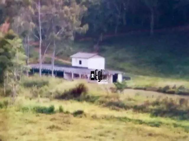 Fazenda venda em Região Geográfica Imediata de Cataguases, Argirita