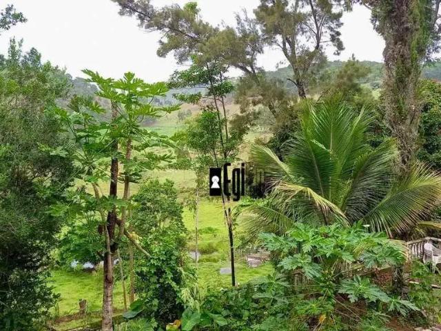 Fazenda venda em Região Geográfica Imediata de Cataguases, Argirita