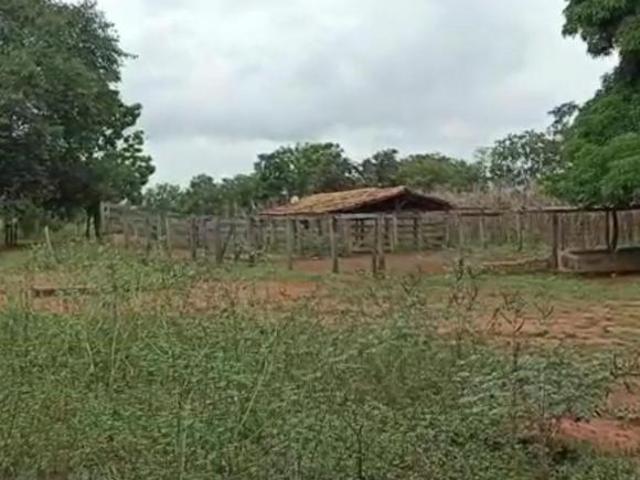 Sítio e chácara venda em Região Geográfica Imediata de Unaí, Arinos