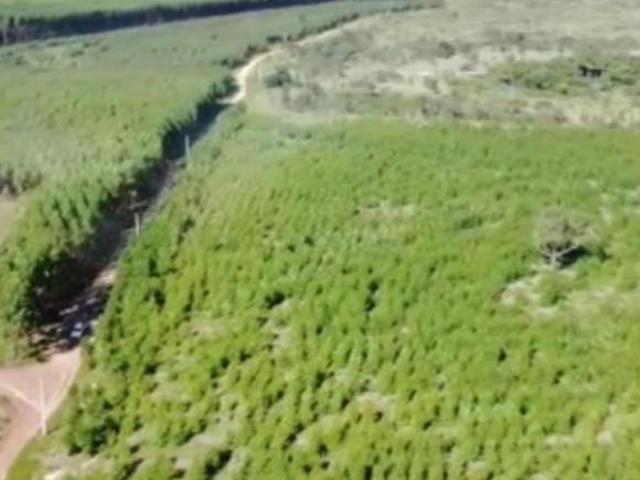 Sítio e chácara venda em Região Geográfica Imediata de Unaí, Arinos