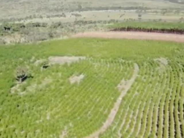 Sítio e chácara venda em Região Geográfica Imediata de Unaí, Arinos