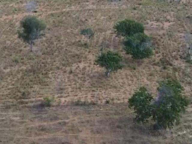 Sítio e chácara venda em Região Geográfica Imediata de Unaí, Arinos