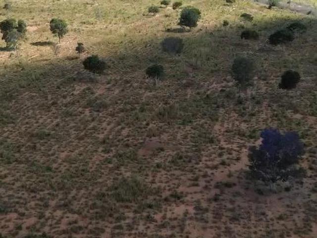 Sítio e chácara venda em Região Geográfica Imediata de Unaí, Arinos
