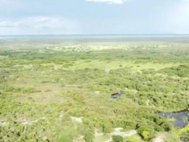 Sítio e chácara venda em Região Geográfica Imediata de Unaí, Arinos