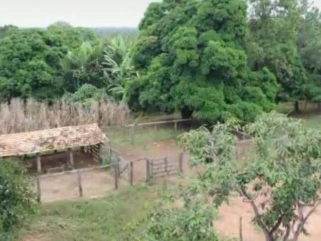 Sítio e chácara venda em Região Geográfica Imediata de Unaí, Arinos