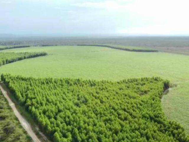 Sítio e chácara venda em Região Geográfica Imediata de Unaí, Arinos