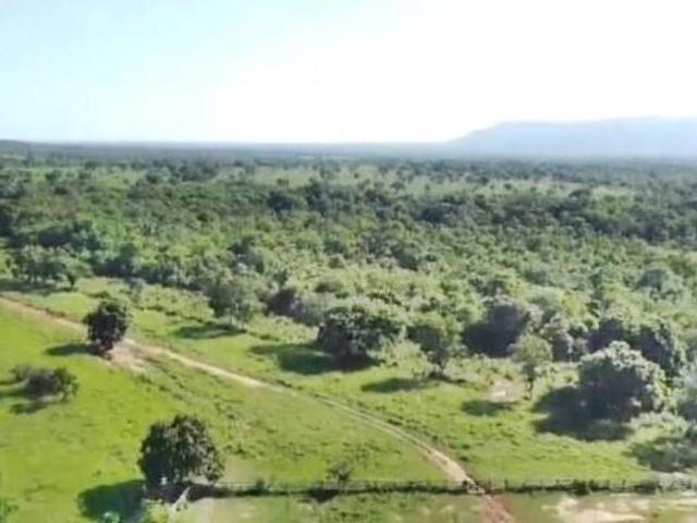 Sítio e chácara venda em Região Geográfica Imediata de Unaí, Arinos