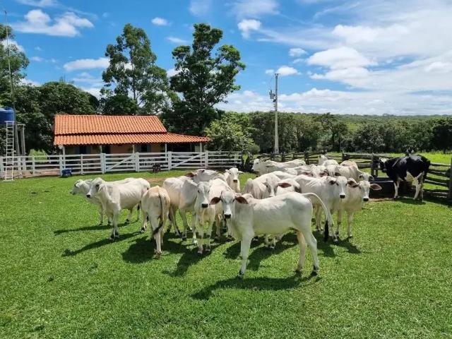 Fazenda venda em Região Geográfica Imediata de Unaí, Arinos