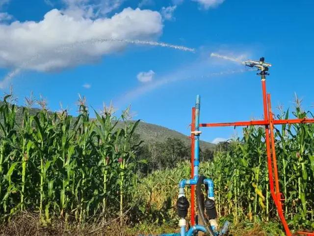 Fazenda venda em Região Geográfica Imediata de Unaí, Arinos