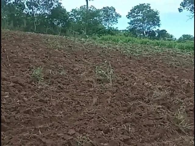 Fazenda venda em Região Geográfica Imediata de Unaí, Arinos