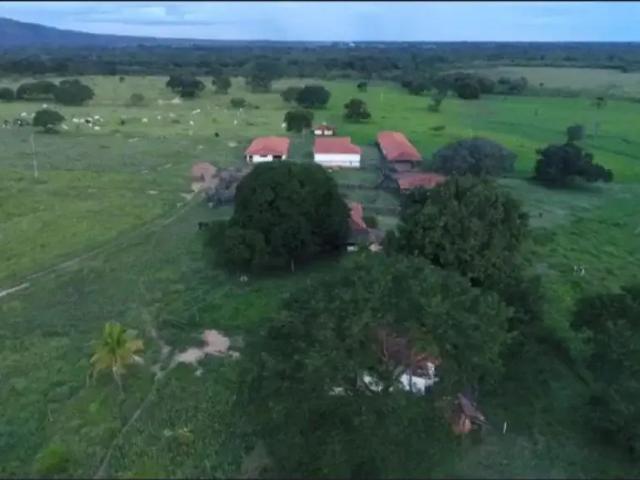 Fazenda venda em Região Geográfica Imediata de Unaí, Arinos