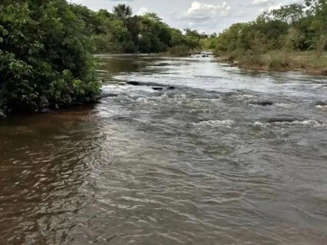 Fazenda venda em Região Geográfica Imediata de Unaí, Arinos