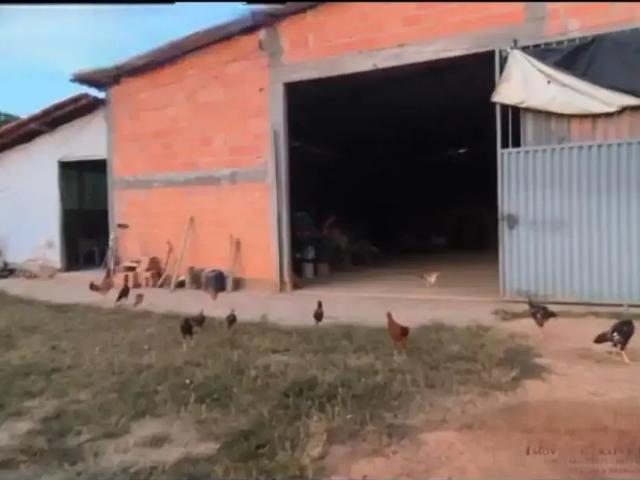Fazenda venda em Região Geográfica Imediata de Unaí, Arinos