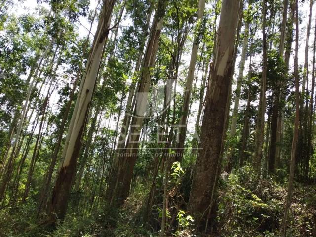 Fazenda venda em Região Geográfica Imediata de Tubarão, Armazém