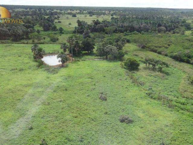 Fazenda venda em Aroazes, Região Geográfica Intermediária de Teresina