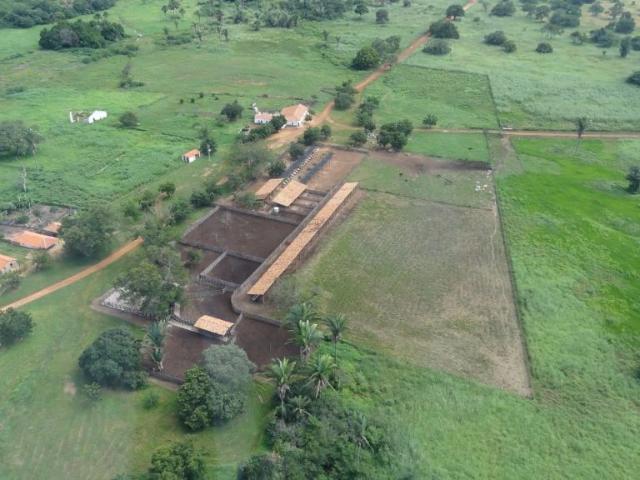 Fazenda venda em Aroazes, Região Nordeste