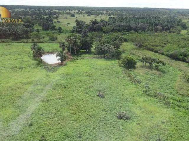 Fazenda venda em Aroazes, Região Nordeste