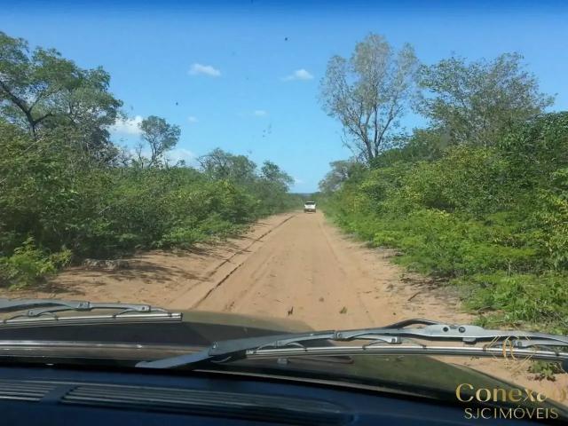 Fazenda venda em Aroazes, Região Nordeste