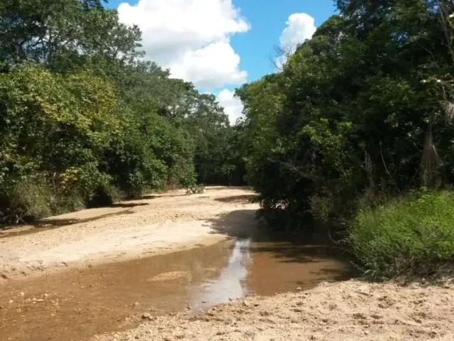 Fazenda venda em Região Geográfica Imediata de Dianópolis, Arraias