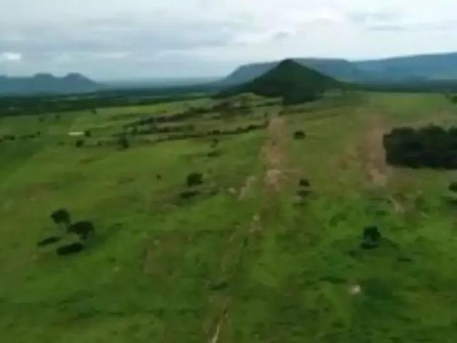 Fazenda venda em Região Geográfica Imediata de Dianópolis, Arraias
