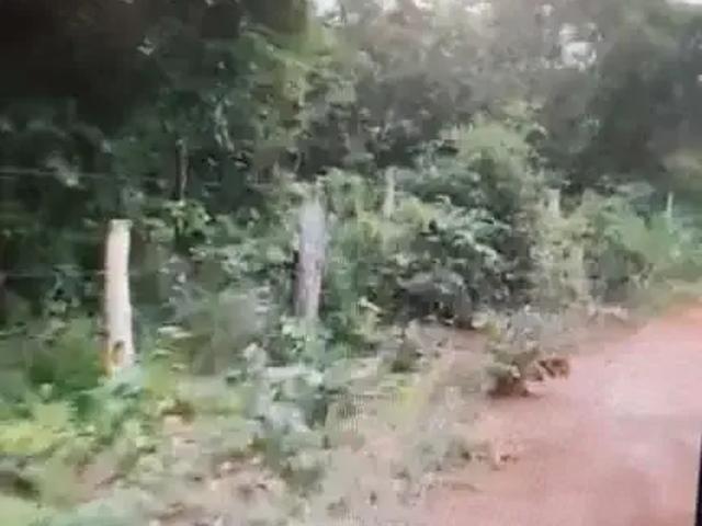 Fazenda venda em Região Geográfica Imediata de Dianópolis, Arraias