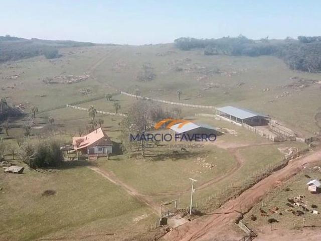 Sítio e chácara venda em Região Geográfica Imediata de Porto Alegre, Região Metropolitana de Porto Alegre